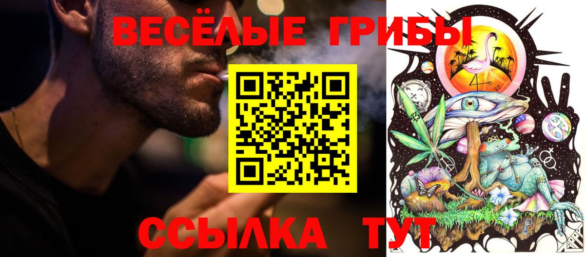 Псилоцибиновые грибы MAGIC MUSHROOMS Каменск-Уральский