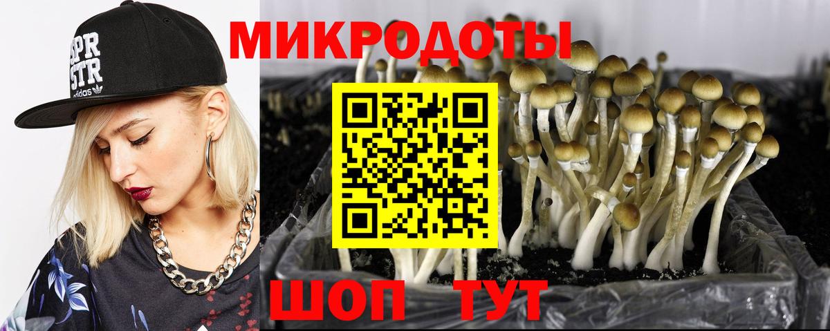 Каменск-Уральский  Псилоцибиновые грибы ЛСД  Вход с VPN 